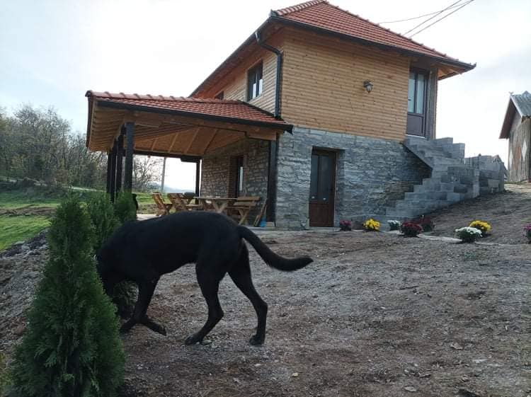 A two-story house is shown, featuring a mix of stone and wooden exterior. A covered terrace is visible, with a large table set for outdoor dining. A black dog is seen exploring nearby trimmed shrubbery, adding a sense of life to the serene surroundings.