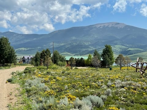Amazing views, 12 fenced acres for dogs to roam!!!