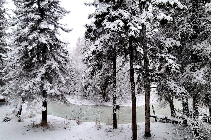 Central Anc Creekside Retreat: Direct Trail Access - Anchorage, AK