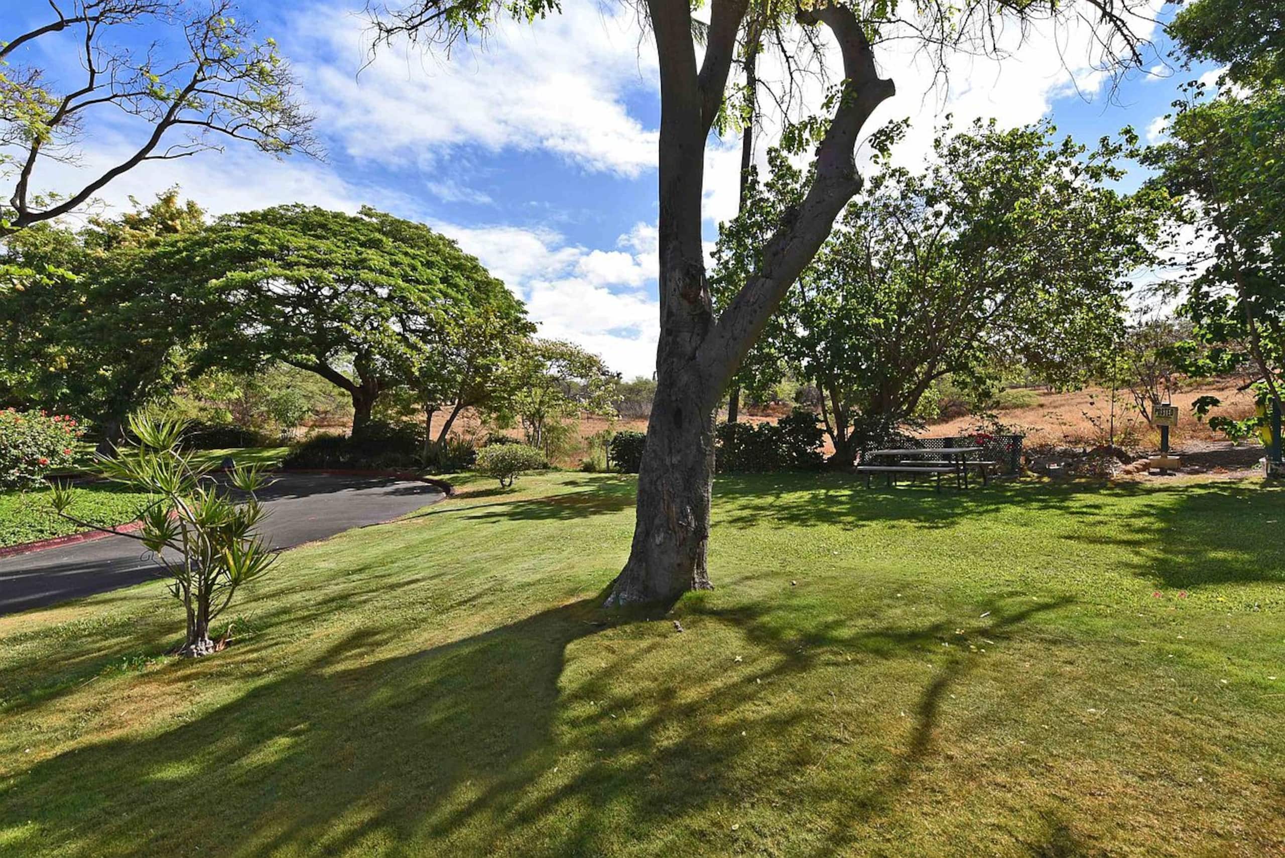 Condo in Kihei · ★4.76 · 1 bedroom · 1 bed · 1 private bath - Image 19