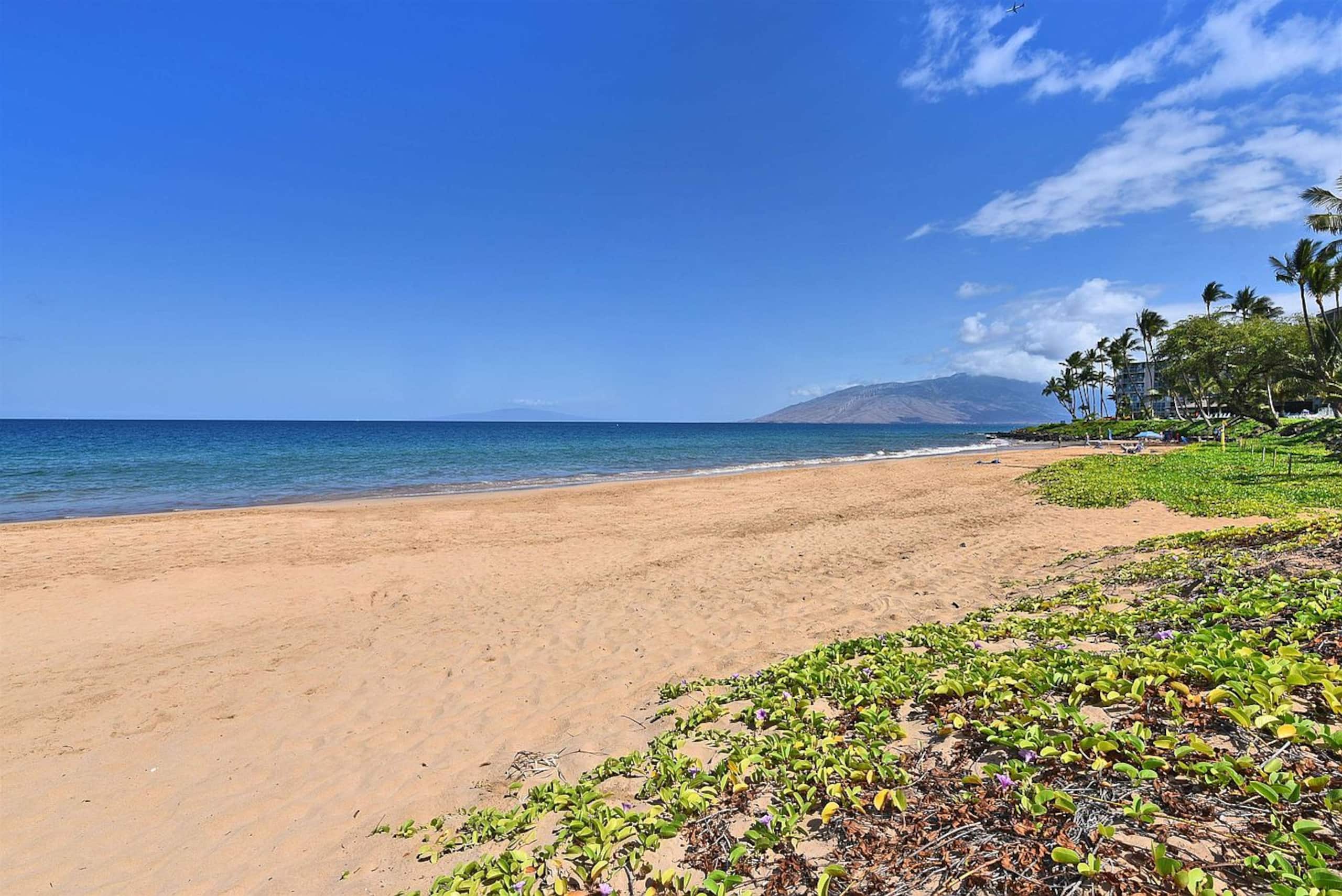 Condo in Kihei · ★4.76 · 1 bedroom · 1 bed · 1 private bath - Image 22