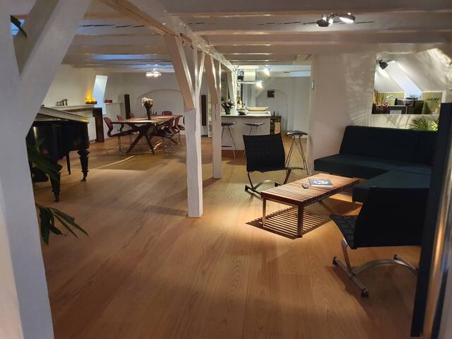 Large apartment with roof-terrace gallery image 4