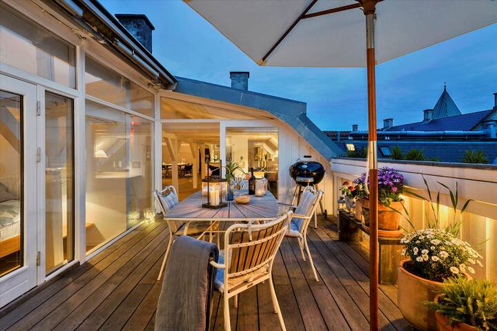 Large apartment with roof-terrace gallery image 2