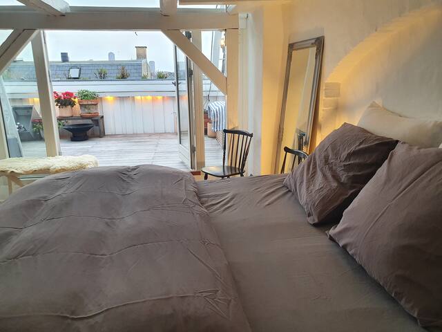 Large apartment with roof-terrace gallery image 5