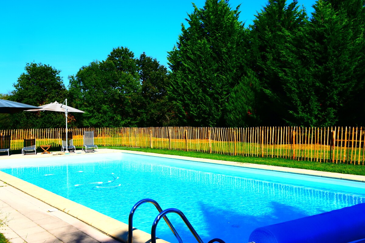 A clear blue salt-water pool is surrounded by a well-maintained green lawn. A white umbrella provides shade over a few lounge chairs positioned near the pool. Lush trees border the area, creating a natural backdrop against a bright blue sky.