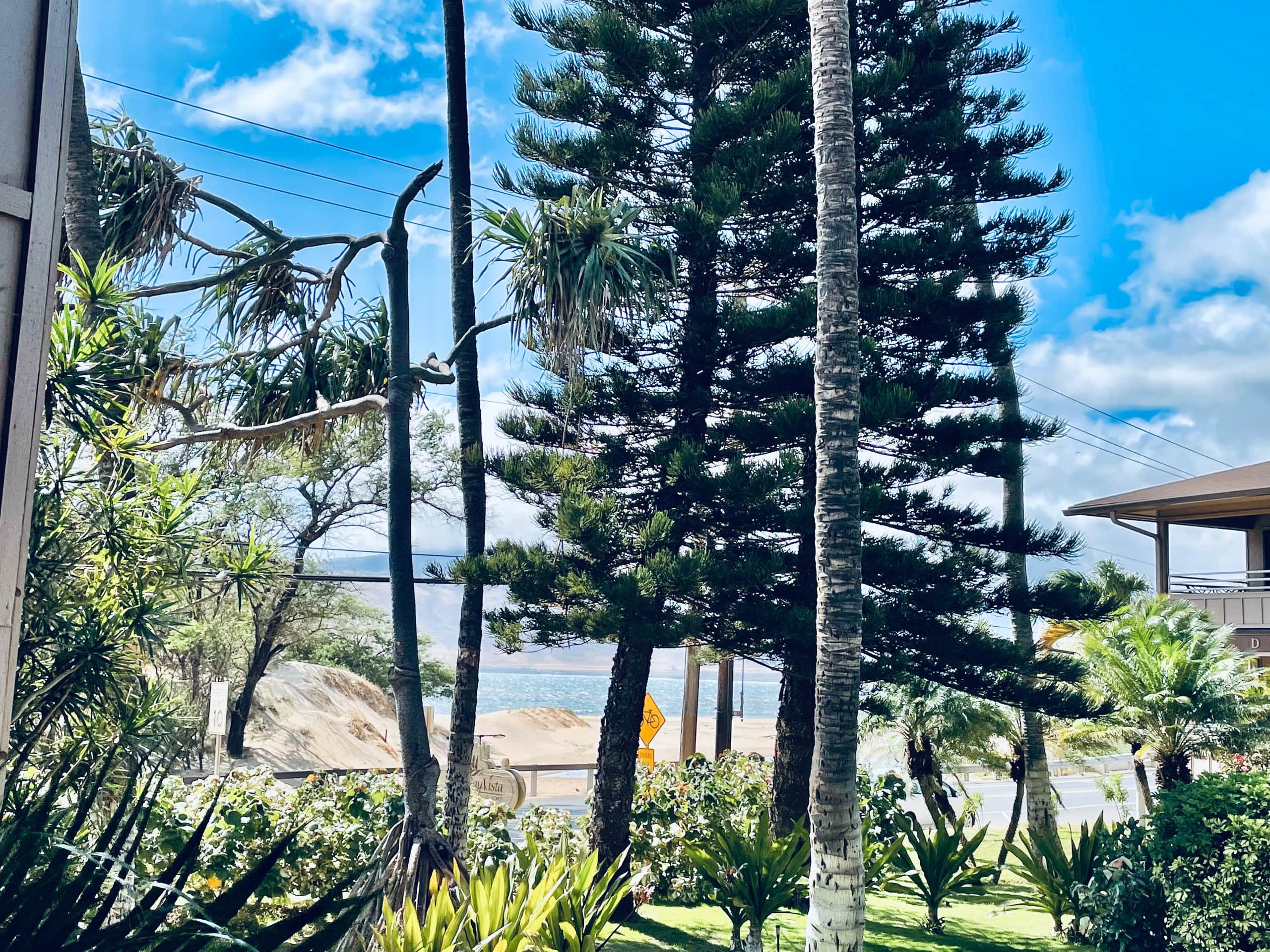 Condo in Kihei · ★4.91 · 1 bedroom · 1 bed · 1 bath - Image 19