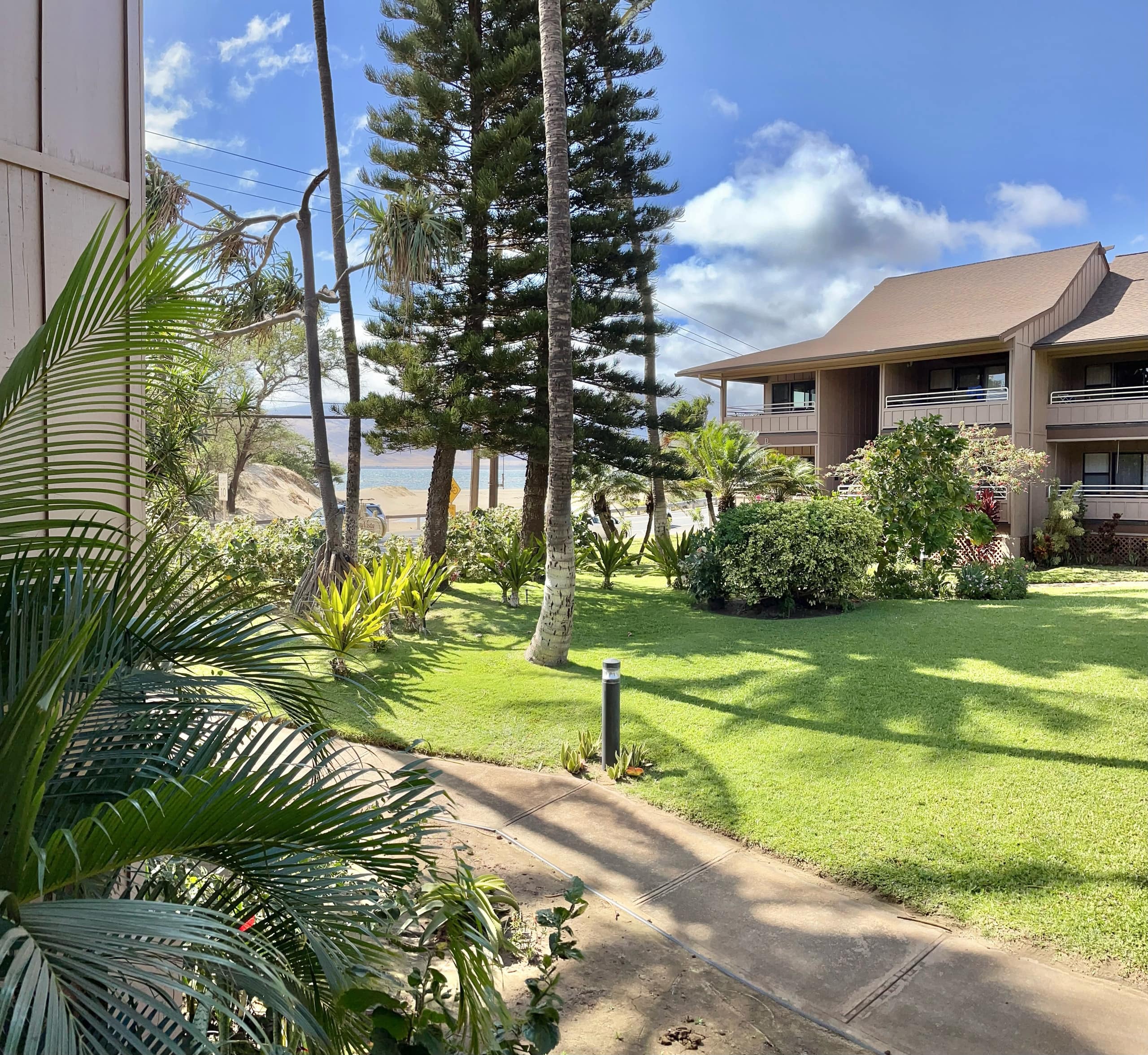 Condo in Kihei · ★4.91 · 1 bedroom · 1 bed · 1 bath - Image 20