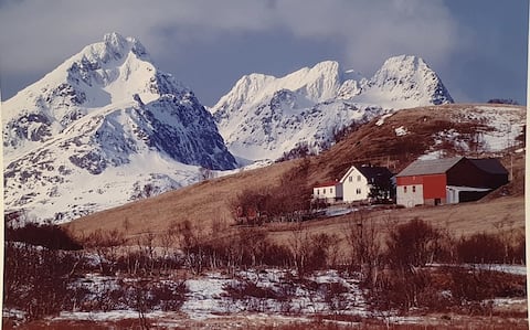 Successful Airbnb property: In the middle of Lofoten Islands. in Vestvågøy