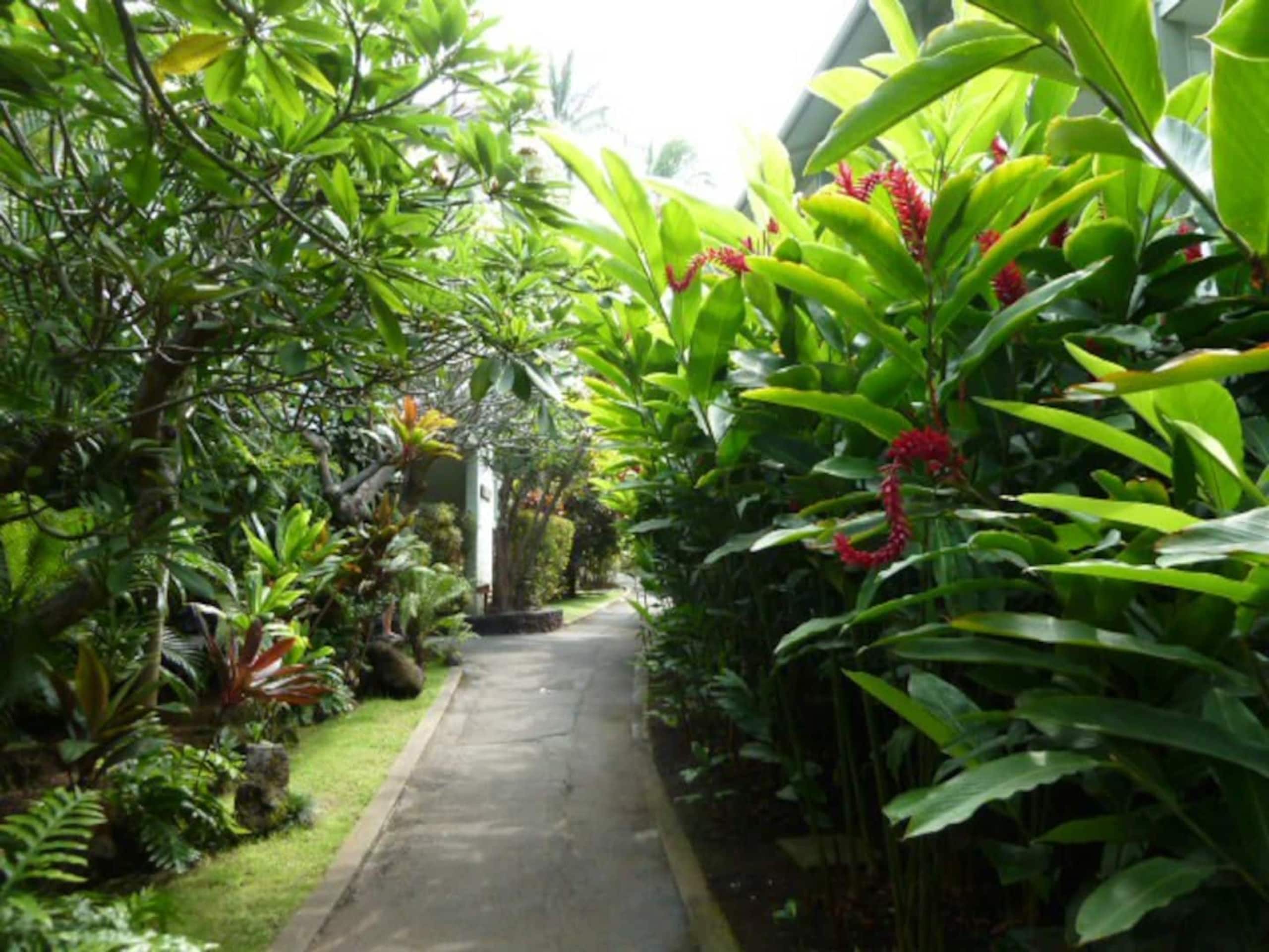 Condo in Kailua-Kona · ★4.99 · Studio · 1 bed · 1 bath - Image 10