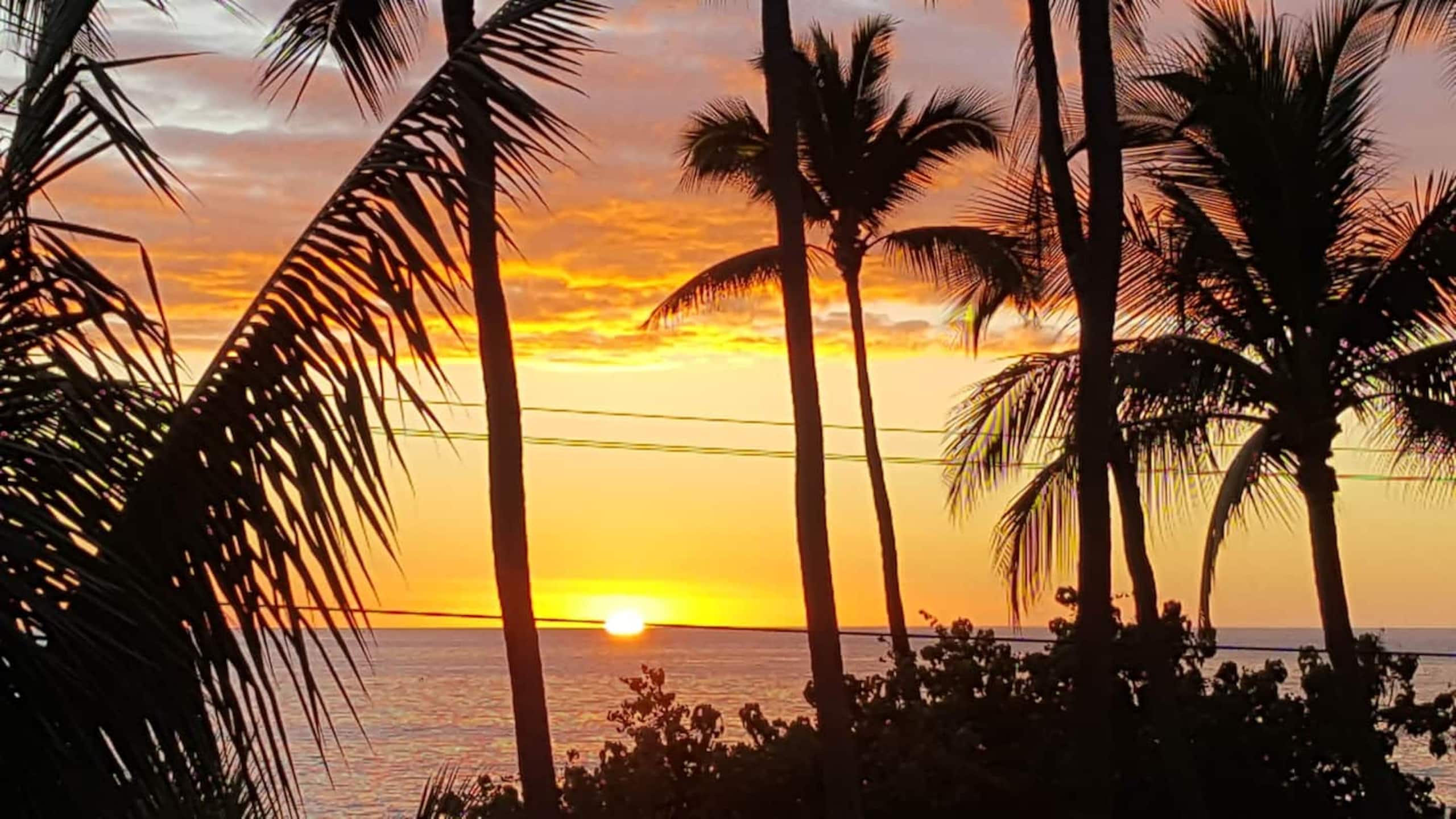 Condo in Kailua-Kona · ★4.99 · Studio · 1 bed · 1 bath - Image 7