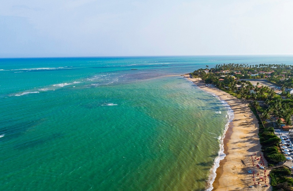 An expansive coastline is displayed, featuring soft sandy beaches that transition into calm turquoise waters. Palm trees line the shore, creating a serene tropical environment under a clear blue sky, with gentle waves lapping at the beach.