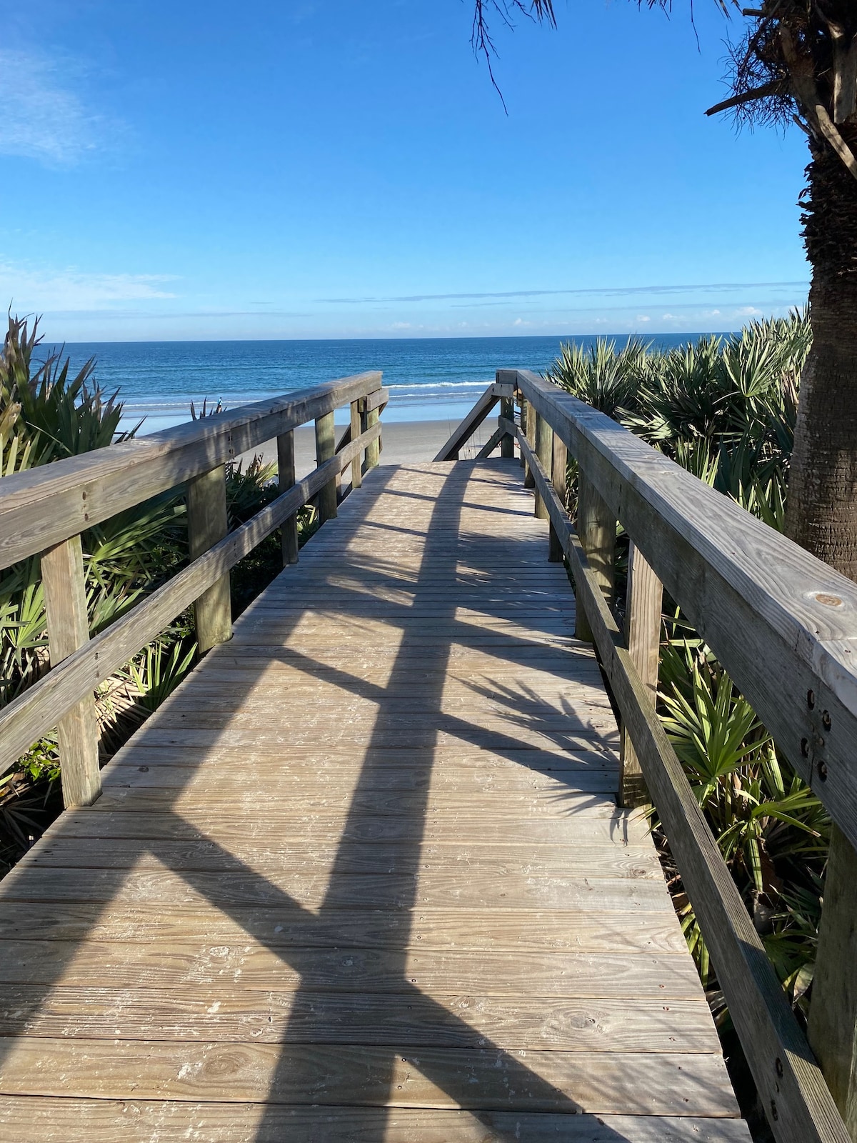 A wooden boardwalk leads through lush greenery towards the beach. Sunlight casts gentle shadows along the pathway, enhancing the serene ocean view. The water stretches out under a clear blue sky, inviting relaxation and connection with nature.