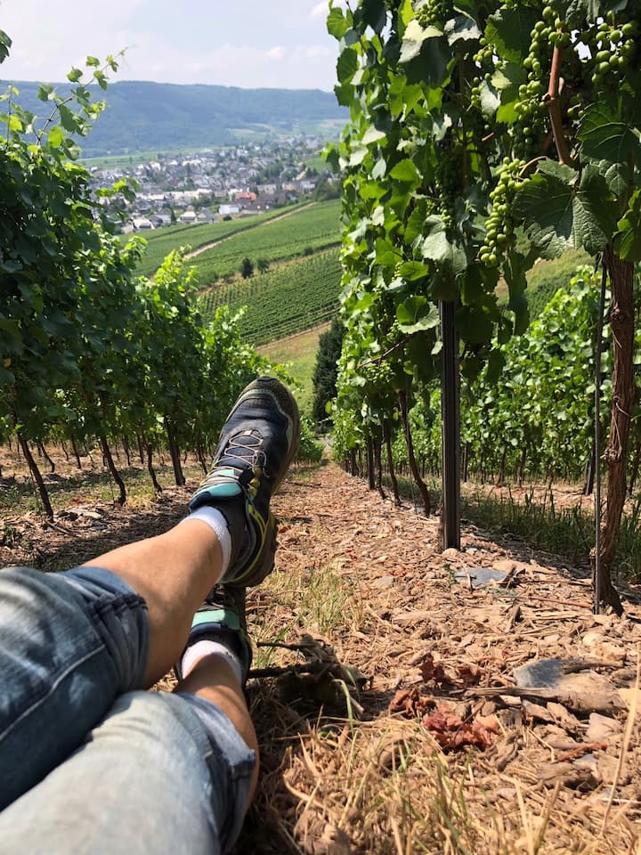 Vacation Mosel, BedBreakfast near the winemaker, XXL Bed and