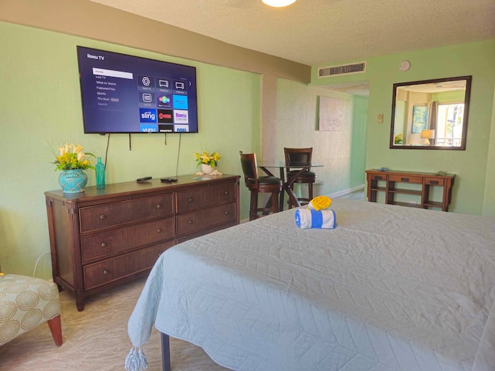 Sea Turtle Haven ~ Ocean Front Complex ~ Pool Open - Daytona Beach, FL