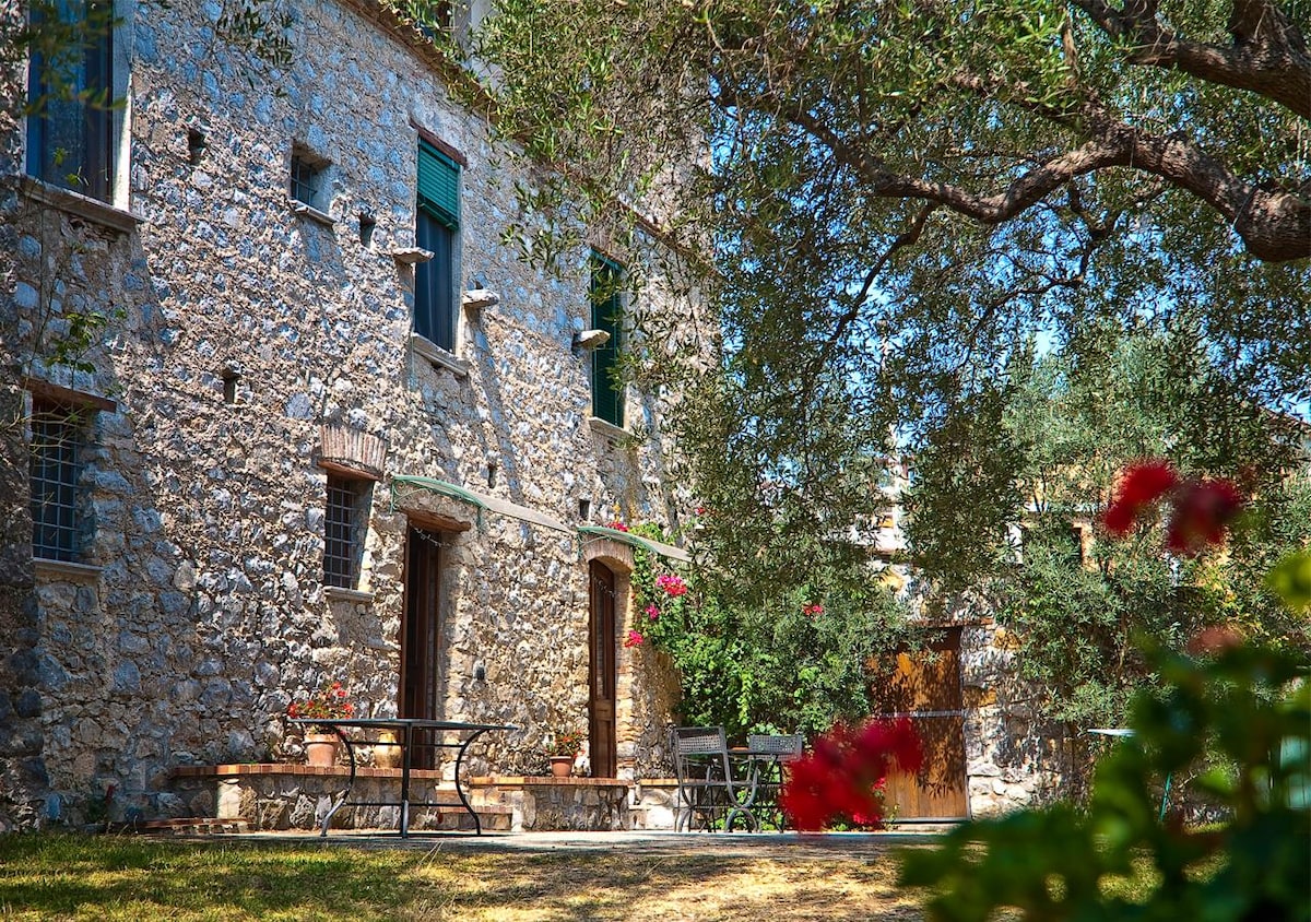 The exterior of the rustic stone building features a textured surface with wooden doors and windows framed by lush greenery. A shaded seating area is visible in front, surrounded by blooming plants and mature olive trees, providing a serene and inviting outdoor space.