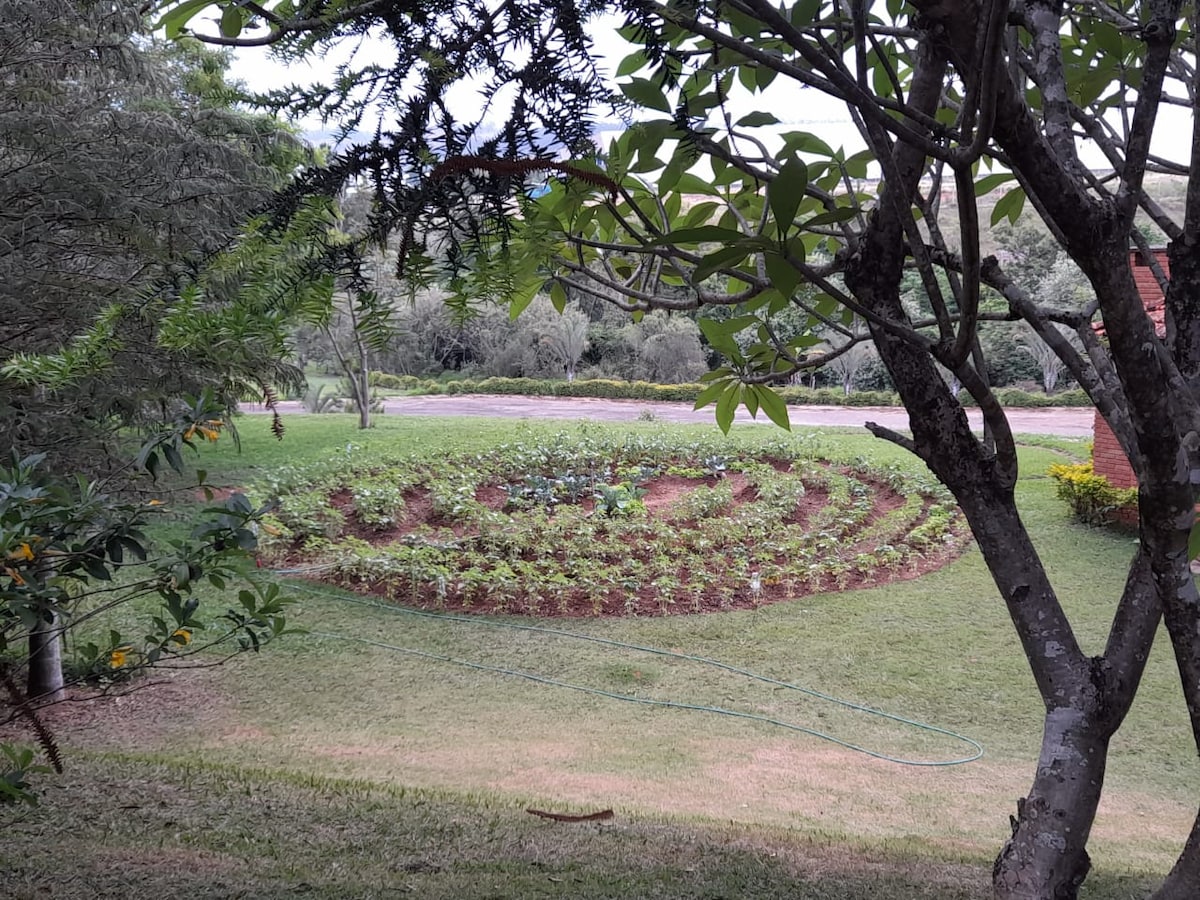 A landscaped garden features an intricate, circular design composed of vibrant green plants. Surrounding trees provide natural shade, while a neat lawn extends beyond the garden, contributing to the serene outdoor environment.