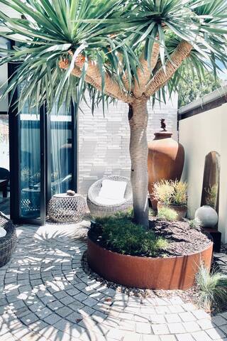 Stylish Bondi Beach house: plunge pool & parking gallery image 5