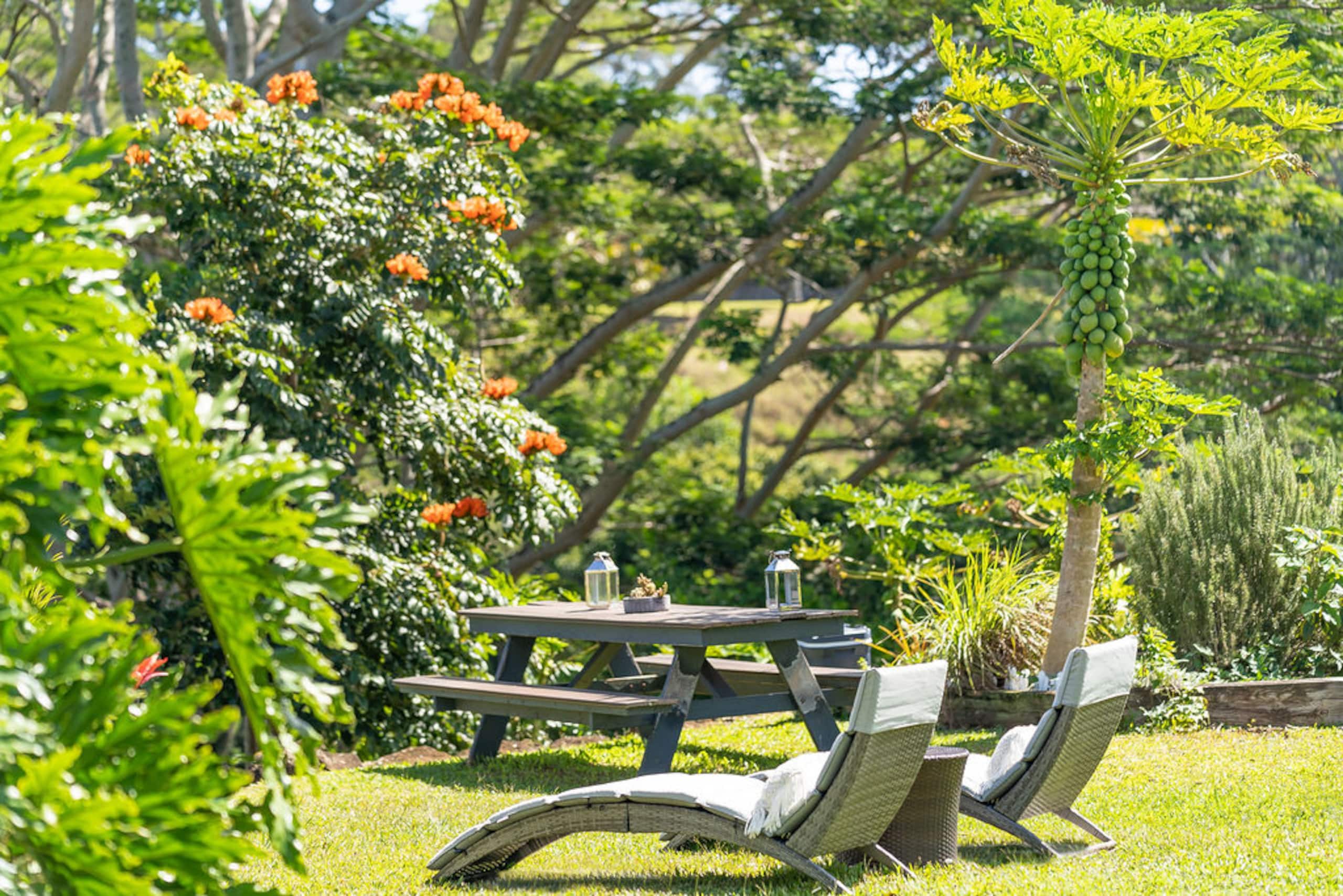 Ho’oko’ana Maui Farm Stay. On Staycation TV - Photo 56