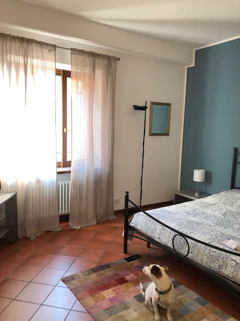MILU'- lovely apartment in the center of Garda