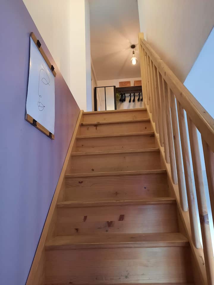 мезон – изображение 1