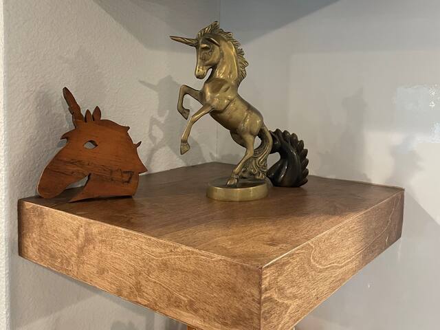 Unicorn House: Cool updated MCM in Fort Worth gallery image 2