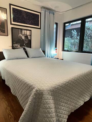 Unicorn House: Cool updated MCM in Fort Worth gallery image 5