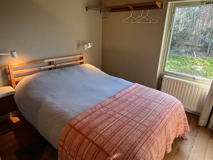 Habitación 1