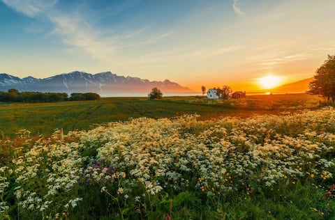 Villa Spåkenes - house with views of Lyngenfjorden