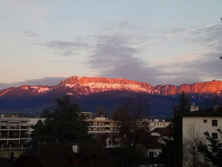 Studio Cosy Au Calme Proche Annecy - Annecy