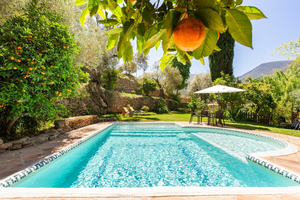 A private swimming pool is framed by lush gardens and orange trees. Sunlight reflects off the clear water, creating a serene atmosphere. A shaded seating area with an umbrella is positioned nearby, inviting relaxation in a tranquil outdoor space.