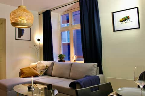 Lovely apartment in charming downtown area