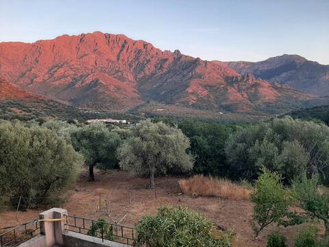 Charming renovated T1 bis, authentic magnificent view.