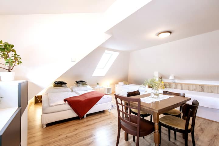 1号公寓，带小厨房和卫生间