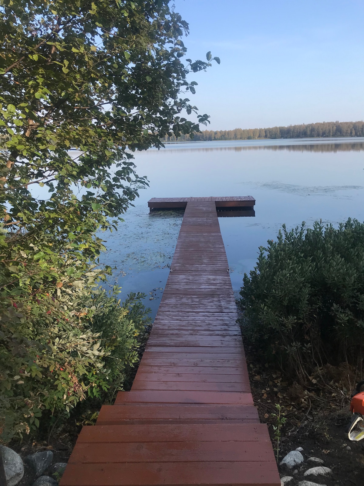 A wooden dock extends over calm water, surrounded by greenery. The smooth surface reflects the gentle light of the sky, creating a serene view. Lush shrubbery borders the dock, enhancing the tranquil lakeside setting.