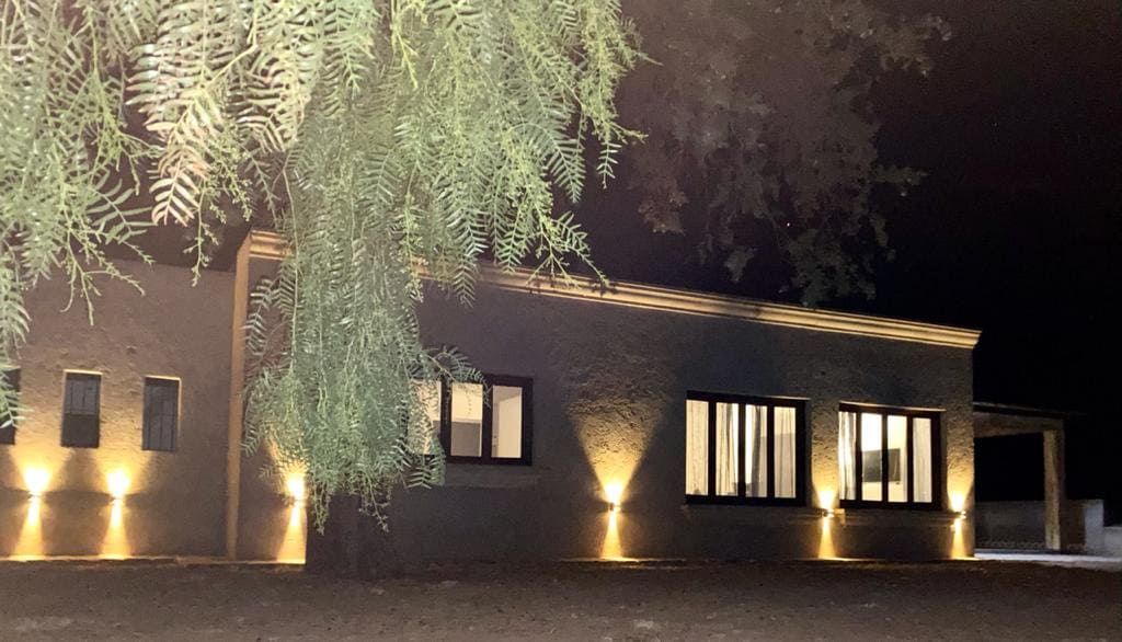 A single-story building is illuminated at night, highlighting the large windows and the textured exterior. Soft lighting along the base of the structure enhances the architectural features, while a tree provides some natural foliage in the foreground.