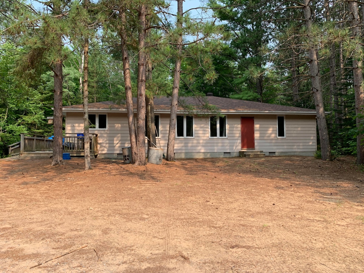 A rustic cottage is set among tall pine trees, featuring a light-colored exterior and a red front door. Several large windows allow natural light to enter, while a wooden deck is visible at the front. The ground is covered in sandy soil and scattered pine needles.