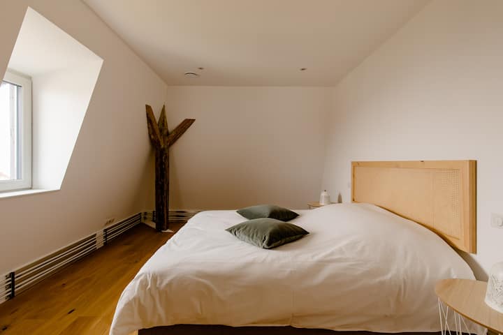 Habitación 1