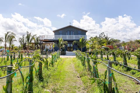 Modern Farm House on a 12 acre Dragon Fruit Farm