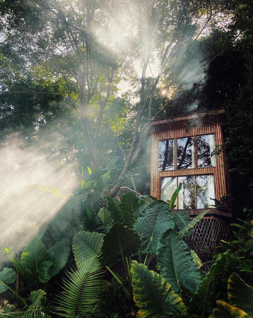 A cabin constructed from bamboo is situated amid lush greenery, with large tropical leaves framing its base. Large windows reflect the surrounding light, creating a tranquil atmosphere enhanced by gentle rays streaming through the trees.