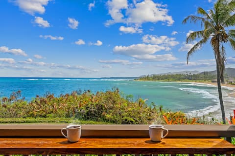 Beautiful OCEANFRONT Kauai Condo with beach access