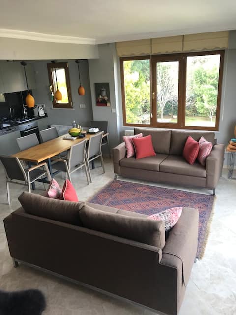 Successful Airbnb property: Cosy Apartment Amazing View - Prinkipo Pax Haven in Kartal