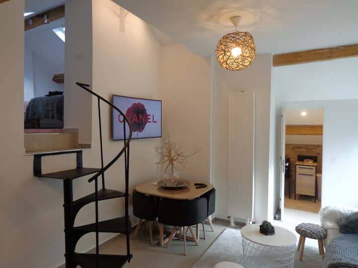 Appartement Dans Maison Avec Espace Extérieur - Ville-la-Grand