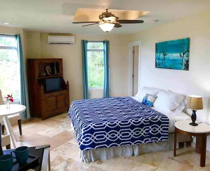 Sunset Villa Studio Condo At The Hills Saint John - Cruz Bay