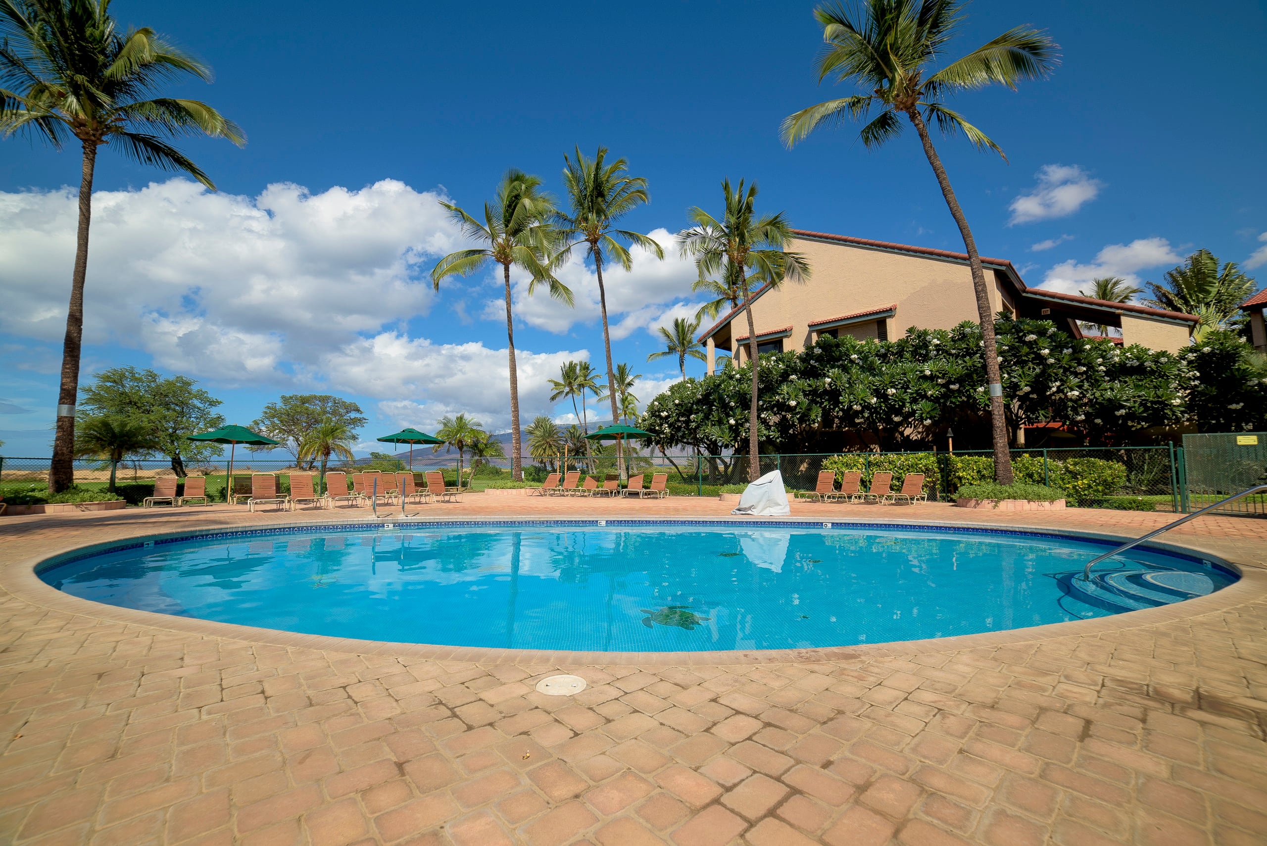 Condo in Kihei · ★4.9 · 1 bedroom · 2 beds · 1 bath - Image 15