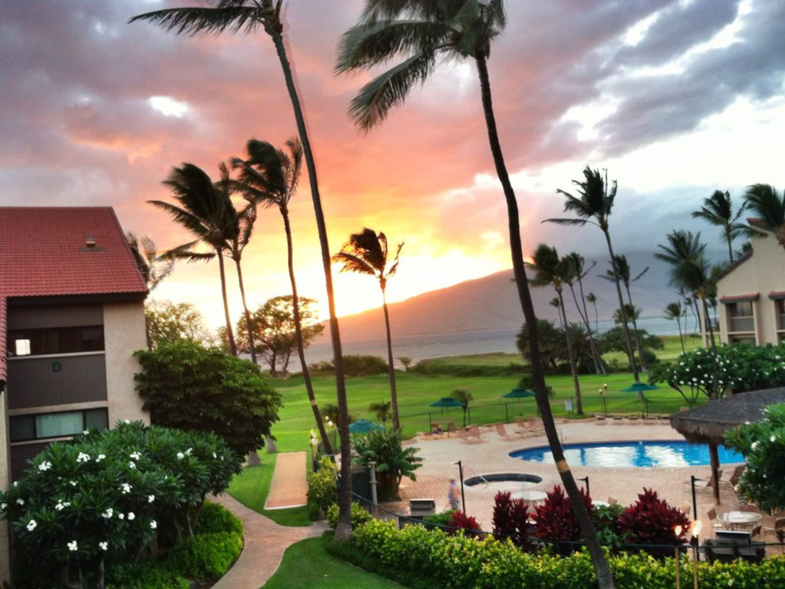 Condo in Kihei · ★4.9 · 1 bedroom · 2 beds · 1 bath - Image 28