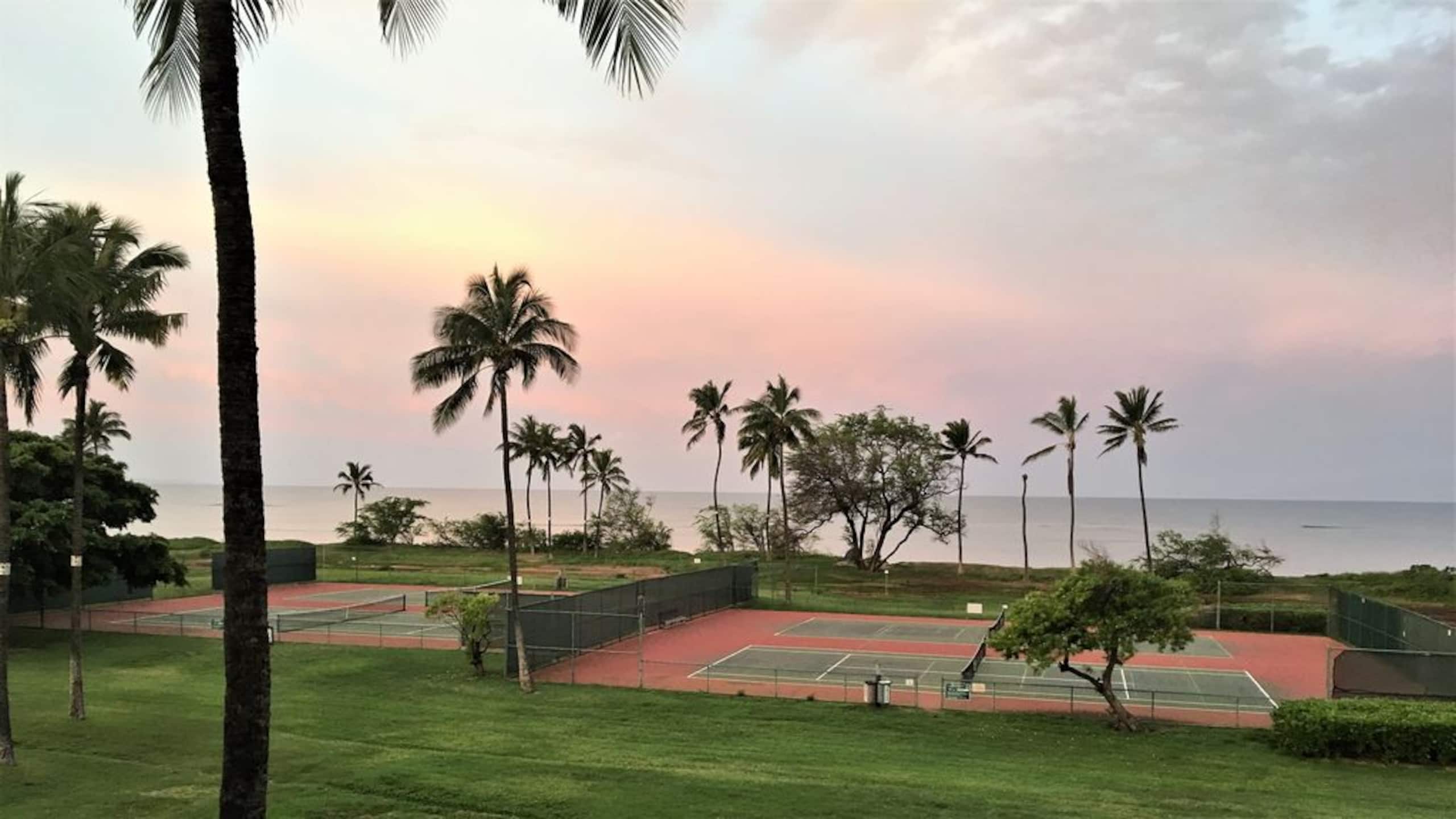 Condo in Kihei · ★4.9 · 1 bedroom · 2 beds · 1 bath - Image 27