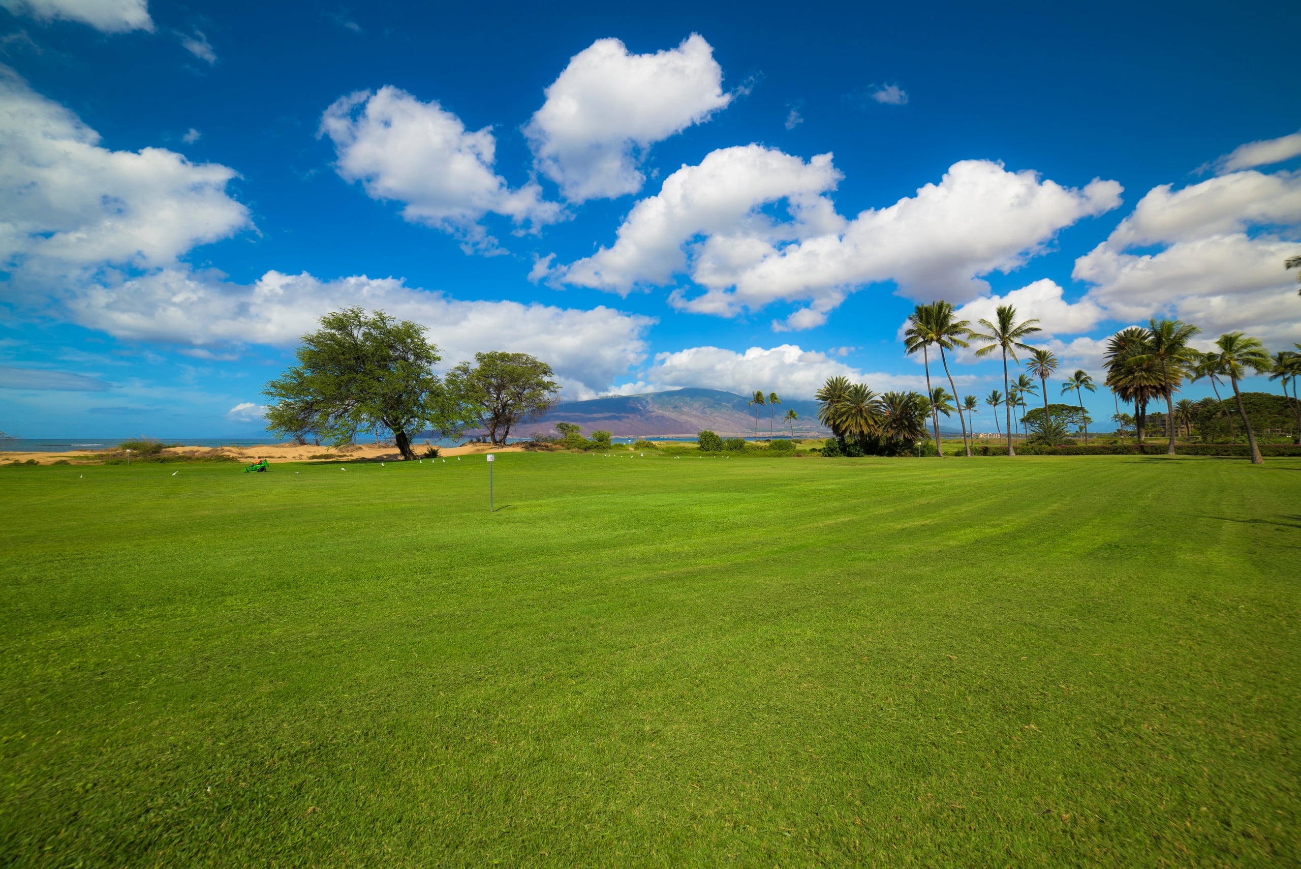 Condo in Kihei · ★4.9 · 1 bedroom · 2 beds · 1 bath - Image 25