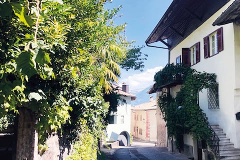Historic vacation home with garden