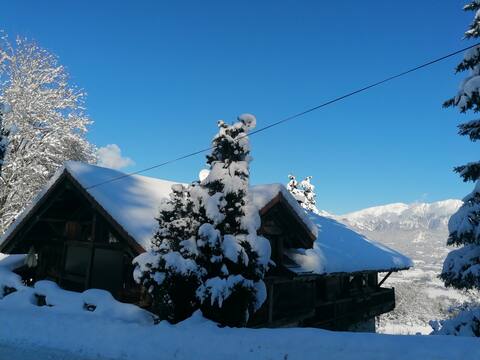 Authentic Savoyard cottage in the heart of nature 6 p