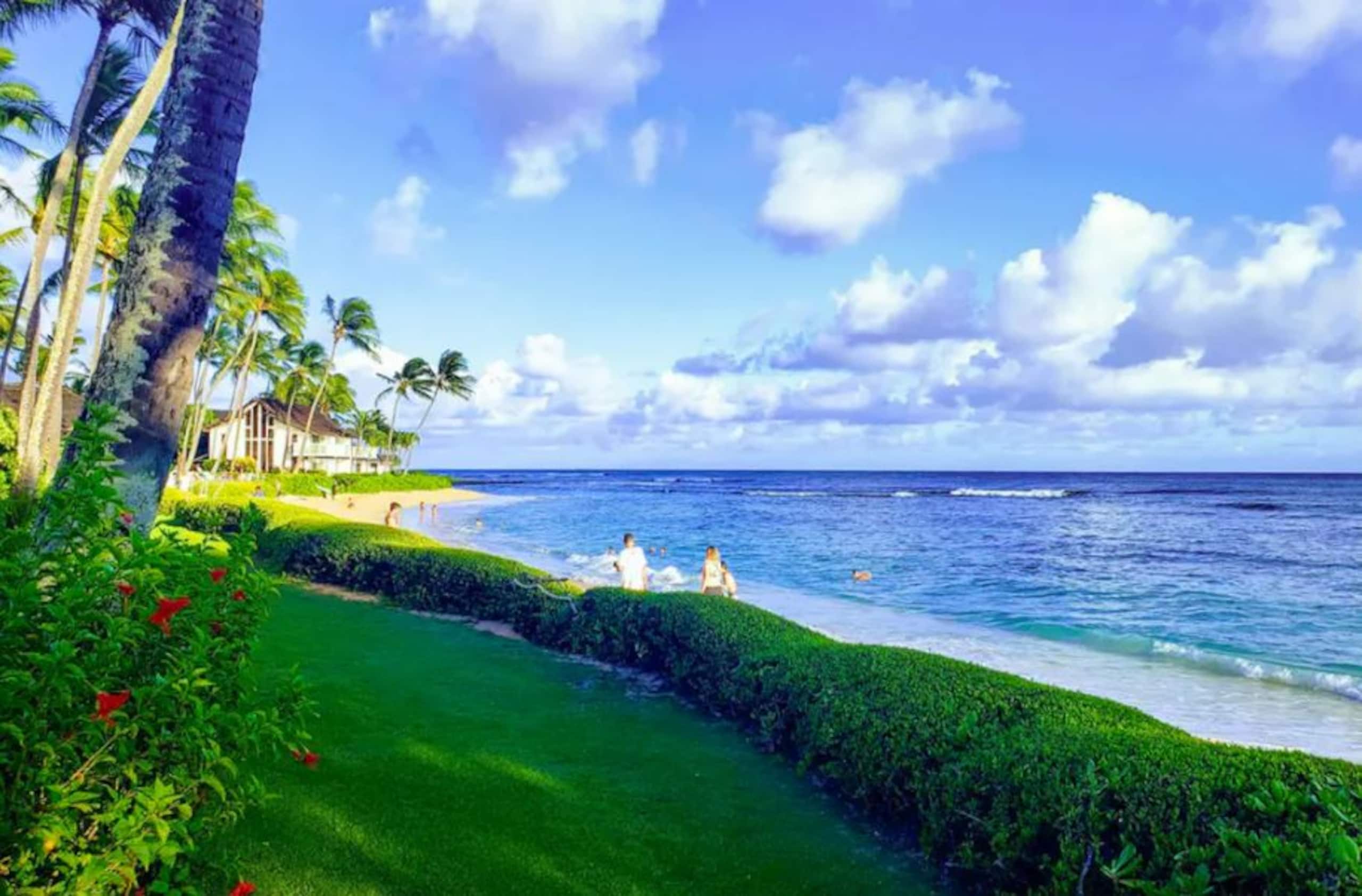 The Best Beachfront Hale on Kauai - Image 28